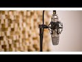 Fastball - Wind Me Up (vocals backing track)