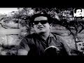 Chattambikkavala 1969 Evergreen Malayalam Full Movie Sathyan Srividya