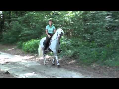 Greylight im Gelände