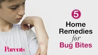 Home Remedies for Bug Bites | Parents