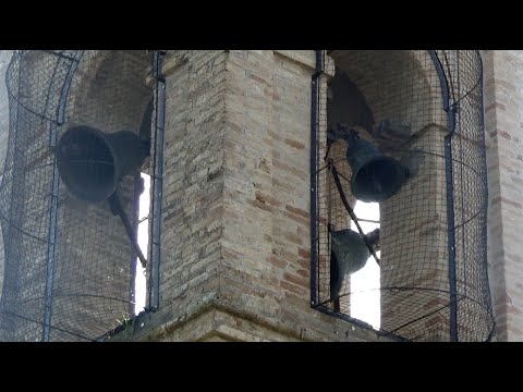 Suonate a corda - Campane della Chiesa Abbaziale di S. Maria in Selva a Treia (MC)