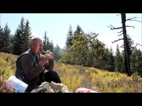 Zvuk prirode: Frula na Vranici, Salko Kartal