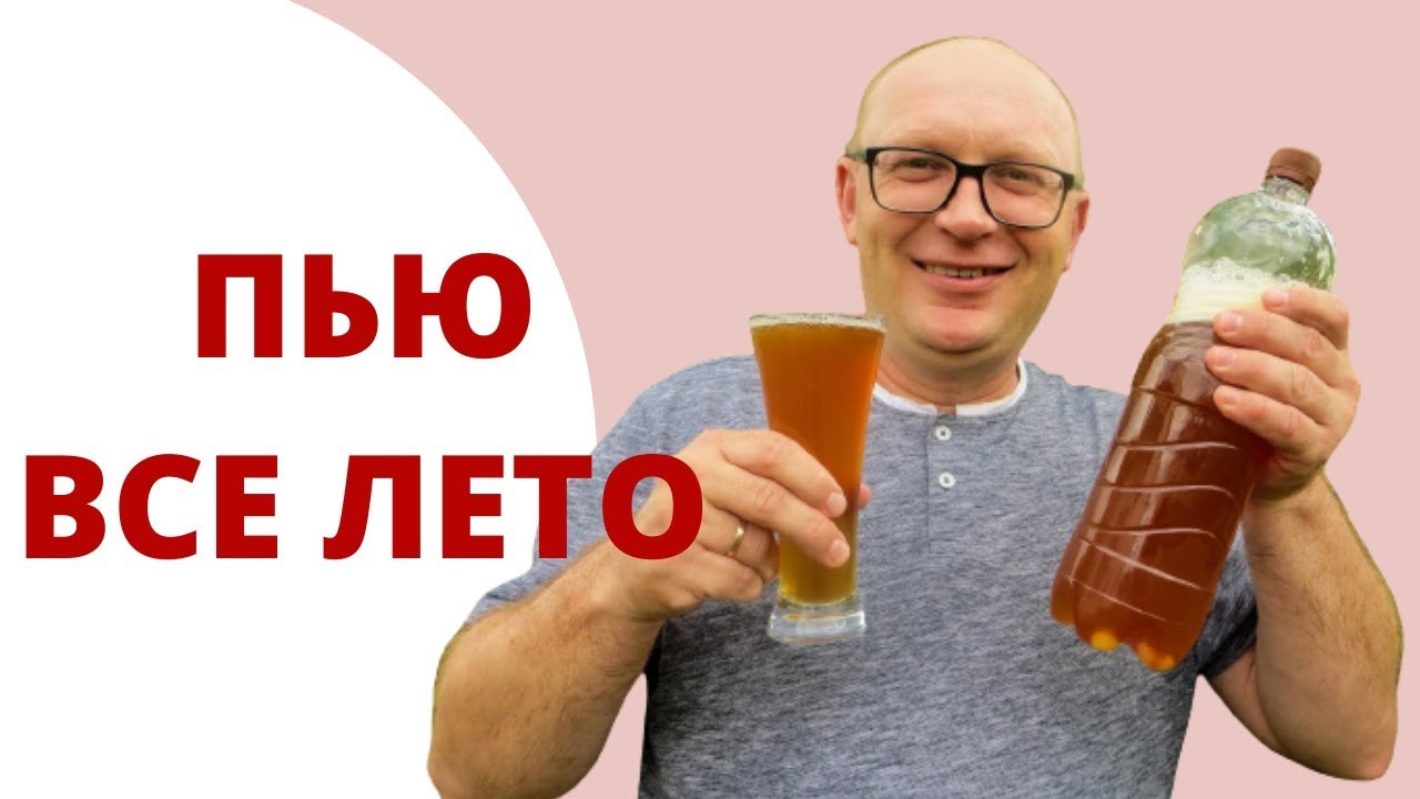 Вкуснейший способ домашнего хлебного кваса ЗА СУТКИ. Рецепт проверенный годами!