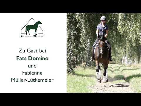 Fats Domino Fabi Lütkemeier