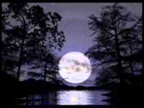 "CLARO DE LUNA"   JULIO GENTA.wmv