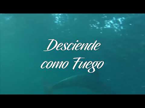 download lagu mp3 mp4 Yo Navegare Letra, download lagu Yo Navegare Letra gratis, unduh video klip Yo Navegare Letra