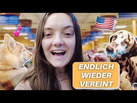 Wir holen die Hunde nach Hause | TIERMARKT in AMERIKA | Dalmatiner und Husky Welpen |