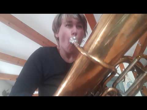 MusikarbeiterInnenkapelle - "Die neuen Arbeiter von Wien" - [Marching on May 1st in Quarantine]