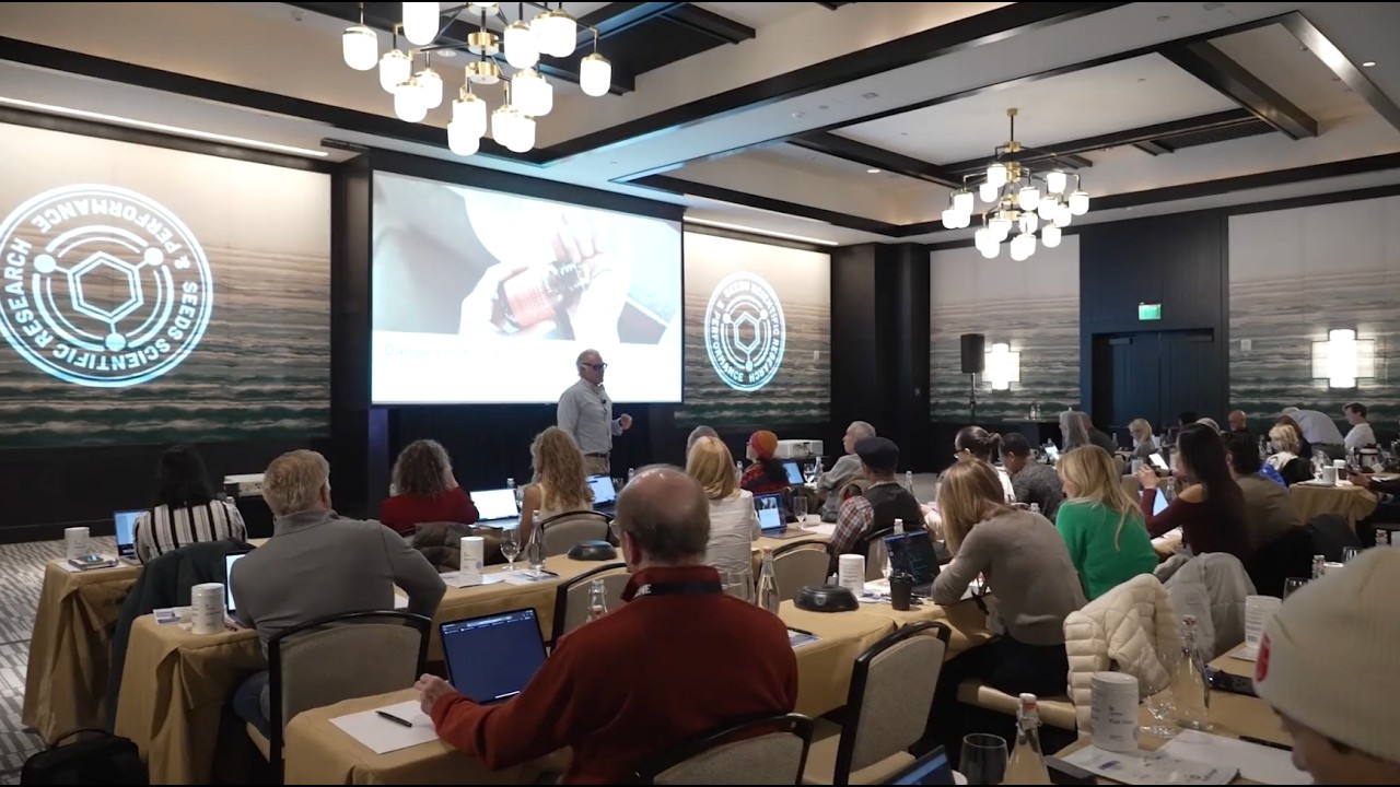 Mastermind 10 Highlights