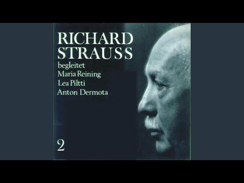 Freundliche Vision (Nr.48, 1)