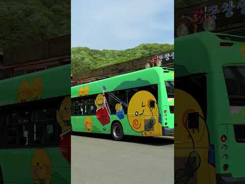구미에 나타난 졸귀탱 버스?! 낭만 토미버스 실물 영접 후기 