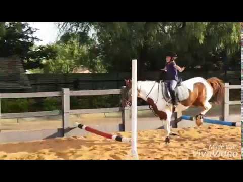 Seyunique Equestrian- #NoStirrupNovember challenge 2018