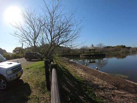 Observação de pássaros. Parque das Ruínas do Castelo de Moriya, cidade de Moriya, província de Ibaraki