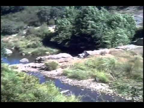 CAMPILLO de deleitosa.mp4