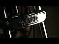 Rx 100 Status Mass Status Rx 100