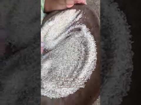 #batea #arroz #espurgandoarroz #lossantos #lapalmadelossantos #lastablas #panama #ptyasmucosa
