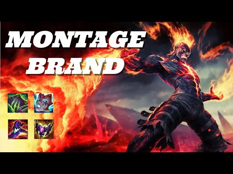 BRAND MONTAGE | LOW ELO | CLAIREXX