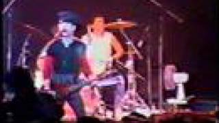 TELLING THEM and NO PAIN NO GAIN