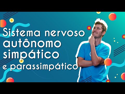 Sympathetic and parasympathetic autonomic nervous system - Brasil Escola