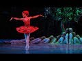 Rite of Spring • Firebird | Stravinsky & The Ballets Russes | Mariinsky 2008 (DVD/Blu-ray trailer)