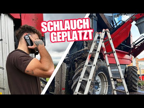 Wenn's gut läuft, läuft was schief 🛠🍇🚜 ERNTEVLOG #3