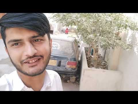 Today i Bath My CAT #bathcat  #mahtabvlogs #catbathing #todaysvlog