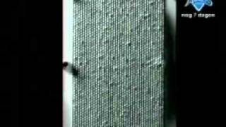 Midge Ure (Ultravox) - if i was.avi