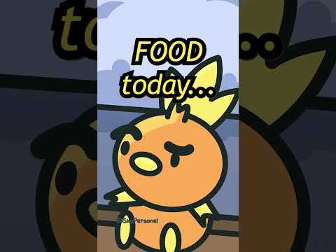 Torchic Just Doesn't Get It 😩