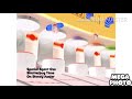 Special Agent Oso Shutterbug Time Song In G Major