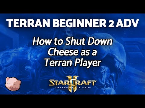How to Shut Down Cheese as a Terran Player - Beginners 2 Plat - StarCraft 2