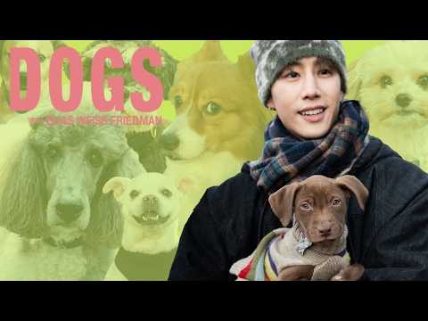 Singer Mark Tuan Creates K-pop Dog Band Names + Meeting NYC Poodles