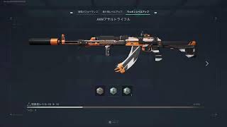 デルタフォース　スナイパーかアサルトライフル使う！