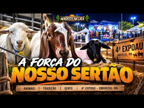 UMARIZAL-RN: Você Sabia Que Já Se Chamou GAVIÃO? | 4ª EXPOAU