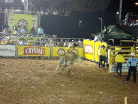 Fabrício Alves x Samba Brasil