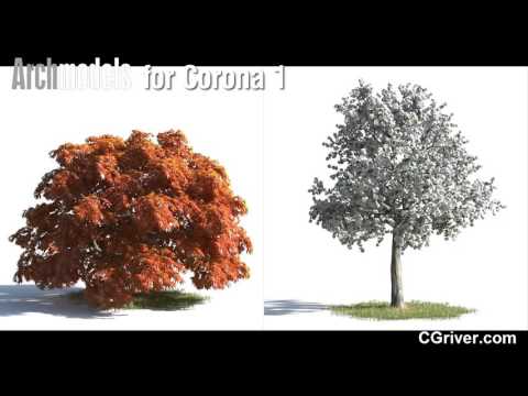 Evermotion Archmodels for Corona Vol. 1 - Trees and Plants - CGriver.com