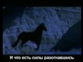 Красивая музыка о нежности и любви (Арабатский конь).mp4 