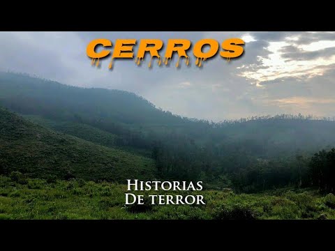 Real Horror Stories That Happened in the Hills