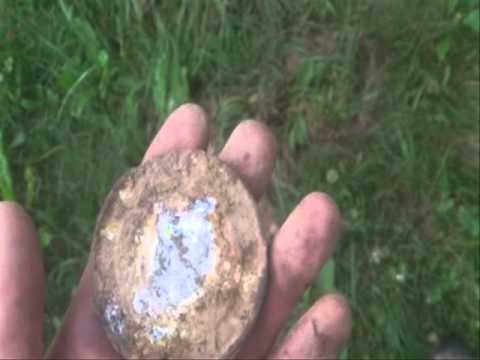 Moje Wykopki (Odc  96)