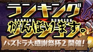 パズドラ生配信　ランキングダンジョン初見