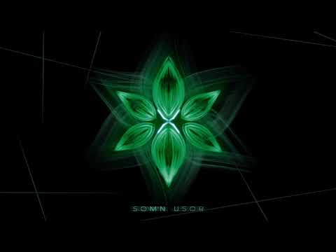 R.O.C. - Somn Usor [Official Audio]