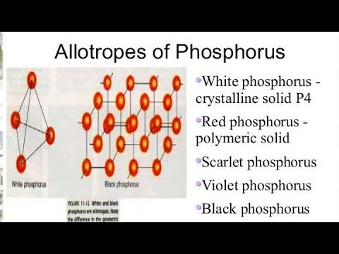 All about allotropes of phosphorus