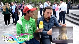 Entrevista a Rodrigo de la Sierra, creador de Timo entre la Gente