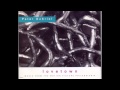 peter gabriel ::  love town