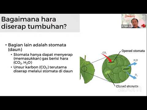 , title : 'CUF series 1 Strawberry - Day 3 Nutrisi Tanaman'