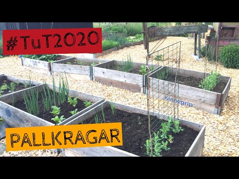 Pallkragar och odlingslådor/kantade bäddar. Digital rundvandring - Tusen trädgårdar #TuT2020
