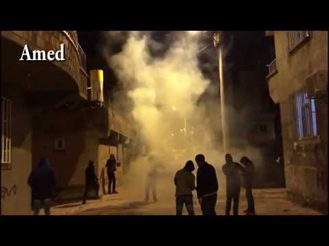 BAJAR  - NEWROZ 2020