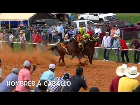 El Huevos de Oro vs  El Torito  8 6 17