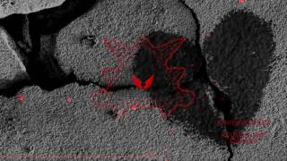 Autumn in June - Starlight