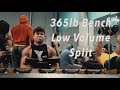 365lb Bench Attempt | Chest w/ Gabe Deutsch & Lc Aesthetics