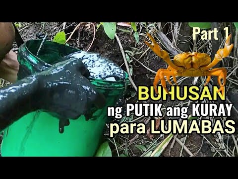 GANITO KA DALI ANG PAGHULI NG KURAY O LAND CRAB (Part 1)| Easiest way to catch land crab